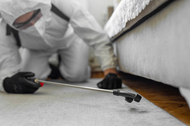 Professional Ant Control technician working in Irvington, NY